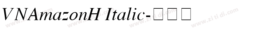 VNAmazonH Italic字体转换